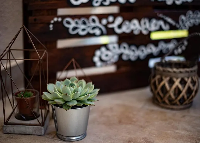 Amica Vendeghaz זלקרוס