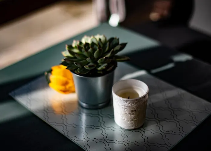 Amica Vendeghaz * זלקרוס