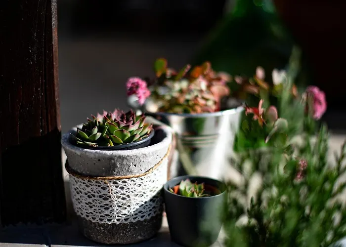 בית נופש Amica Vendeghaz *