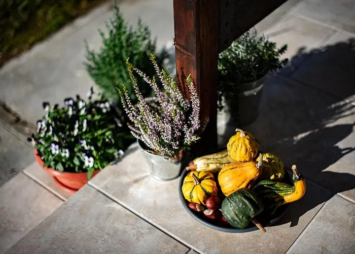 Feriehus Amica Vendeghaz